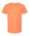 Tultex Fine Jersey T-Shirt Post 1