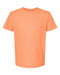 Tultex Fine Jersey T-Shirt Post 1