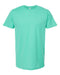 Tultex Fine Jersey T-Shirt Post 3