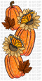 Fall Vibes DTF or Sublimation Transfer