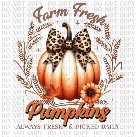 Farm Fresh Pumpkins DTF or Sublimation Transfer