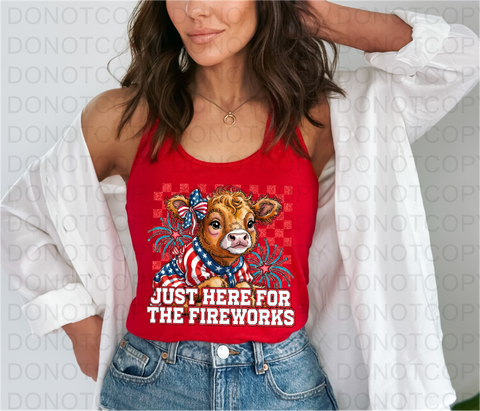 Fireworks DTF or Sublimation Transfer