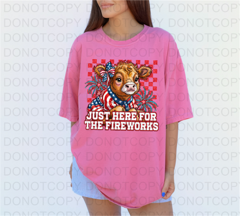 Fireworks DTF or Sublimation Transfer