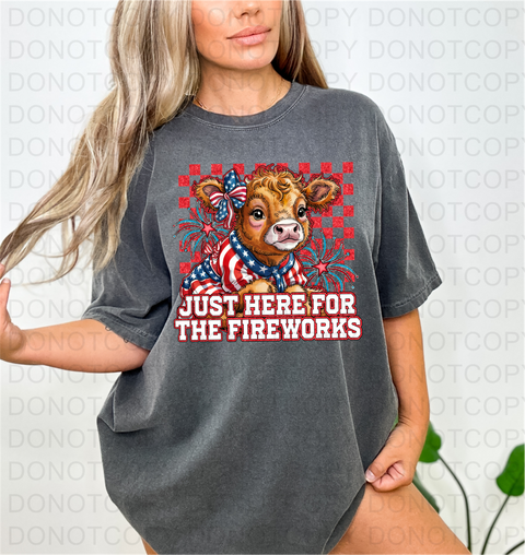Fireworks DTF or Sublimation Transfer