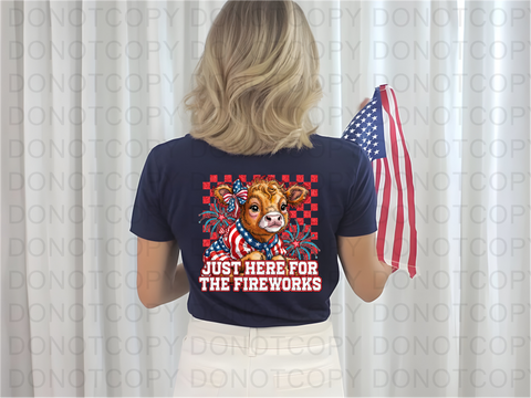 Fireworks DTF or Sublimation Transfer