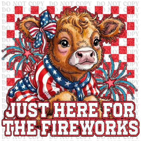 Fireworks DTF or Sublimation Transfer