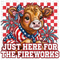 Fireworks DTF or Sublimation Transfer