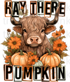 Hay There Pumpkin Heifer Sublimation or DTF Transfer