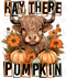 Hay There Pumpkin Heifer Sublimation or DTF Transfer