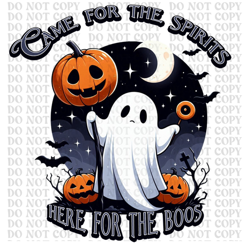 Came For Spirits Here For Boos DTF or Sublimation Transfer