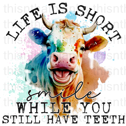 Life's Short Smile While You Still Have Teeth Sublimation or DTF Transfer