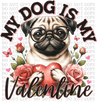 My Dog Is My Valentine Pug DTF or Sublimation Transfer