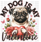 My Dog Is My Valentine Pug DTF or Sublimation Transfer