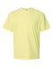 Comfort Colors Garment-Dyed Heavyweight T-Shirt Short Sleeves Post 2
