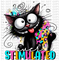 Overstimulated Cat DTF or Sublimation Transfer