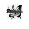 Reputation DTF or Sublimation Transfer
