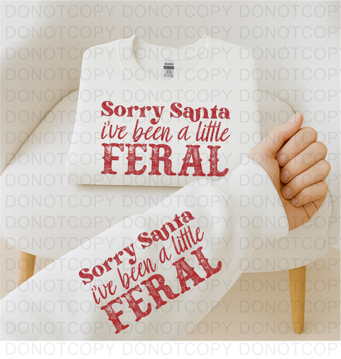 Sorry Santa DTF or Sublimation Transfer