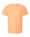 Comfort Colors Garment-Dyed Heavyweight T-Shirt Short Sleeves Post 2