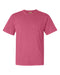 Comfort Colors Garment-Dyed Heavyweight T-Shirt Short Sleeves Post 1