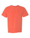 Comfort Colors Garment-Dyed Heavyweight T-Shirt Short Sleeves Post 1