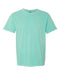 Comfort Colors Garment-Dyed Heavyweight T-Shirt Short Sleeves Post 1