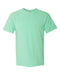 Comfort Colors Garment-Dyed Heavyweight T-Shirt Short Sleeves Post 1