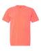 Comfort Colors Garment-Dyed Heavyweight T-Shirt Short Sleeves Post 2