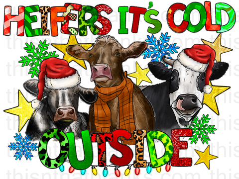 Heifers Its Cold Outside Sublimation or DTF Transfer