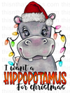 Hippopotamus For Christmas